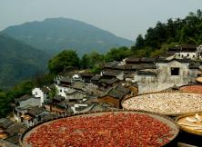 【9月游廬山】廬山+三清山+景德鎮(zhèn)+婺源篁嶺+滕王閣紅典雙飛五日游 【9月游廬山】廬山+三清山+景德鎮(zhèn)+婺源篁嶺+滕王閣紅典雙飛五日游