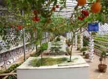 【2021端午假期】威海多福山+石佛山采摘一日游 【2021端午假期】威海多福山+石佛山采摘一日游