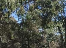 2017“夢想之旅”江南文化夏令營體驗游