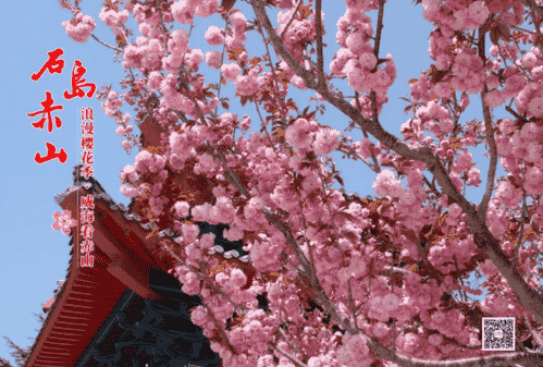 微信截圖_20190410130037