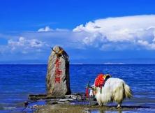 8.15青甘大環線 穿越莫高窟、青海湖、茶卡鹽湖、張掖8日